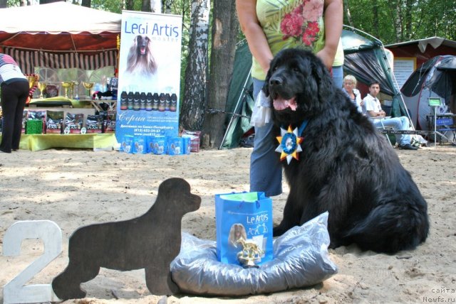 Фотография № 46957