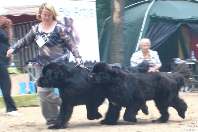 Фотография № 46984