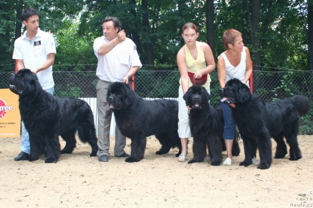 Фотография № 46986