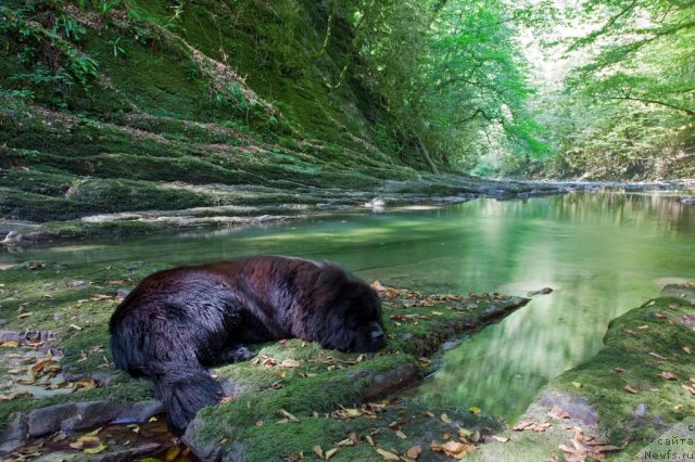 Фотография № 46995