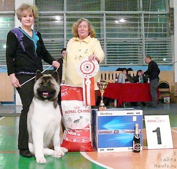 Фотография № 47043