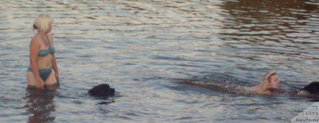 Фото: Анна Портнякова, ньюфаундленд Цыганский Каприз, ньюфаундленд Целитель Души, Мария Портнякова