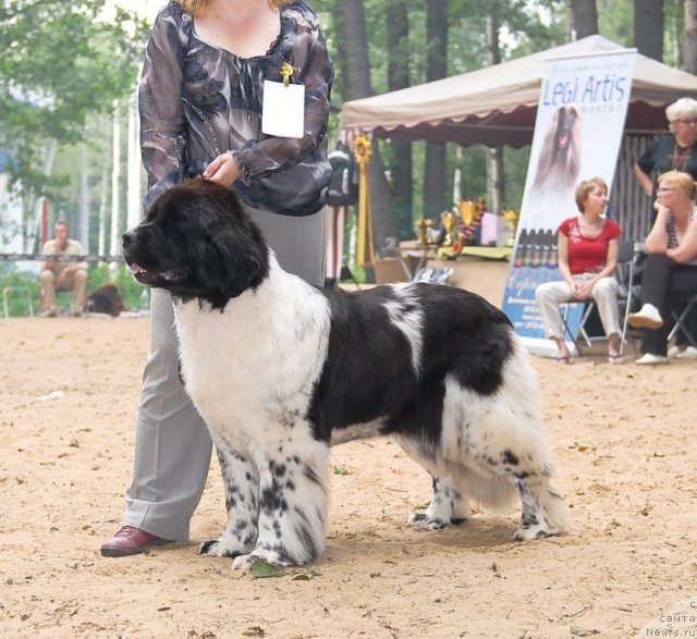 Фотография № 47117