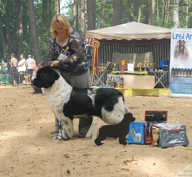 Фотография № 47119