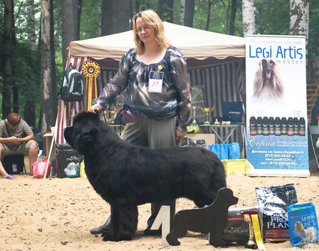 Фотография № 47133