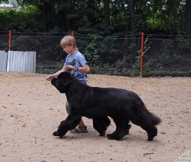 Фотография № 47135