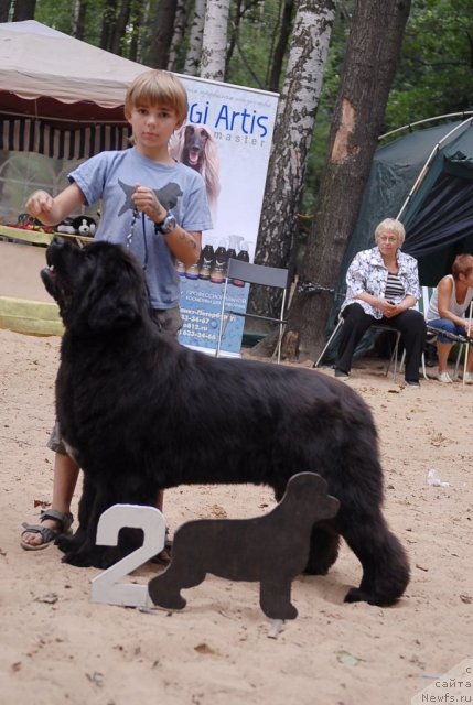 Фотография № 47136