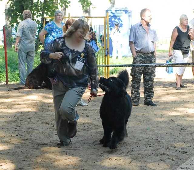 Фотография № 47146