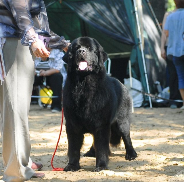 Фотография № 47149