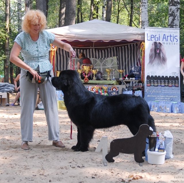 Фотография № 47152