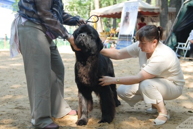 Фотография № 47171