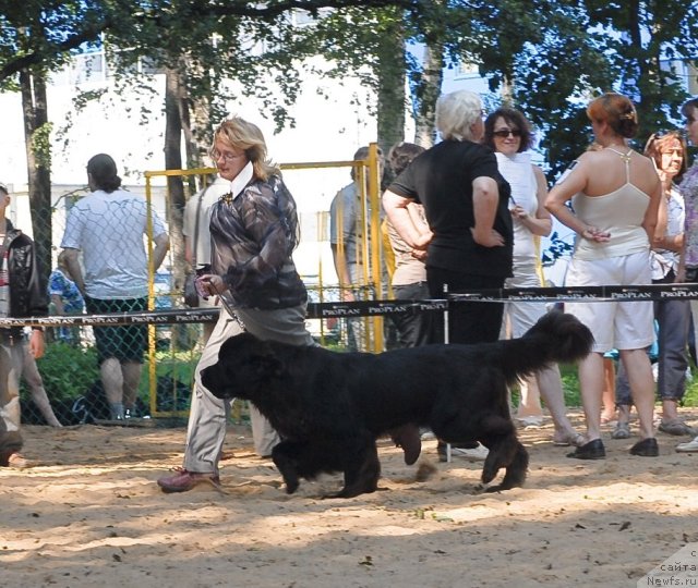 Фотография № 47172