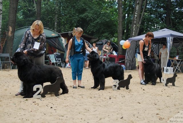 Фотография № 47190