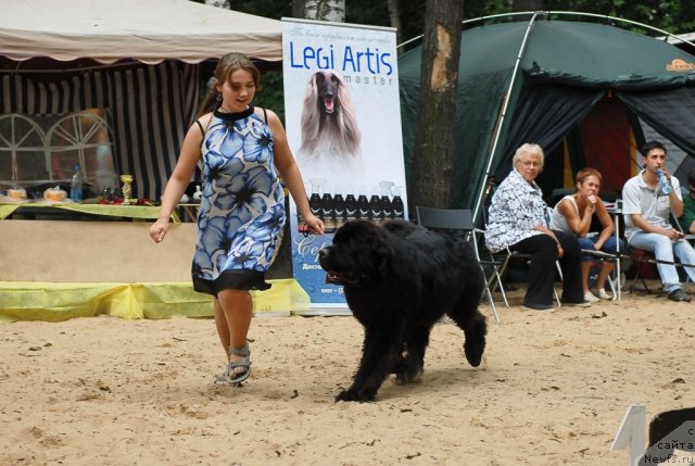 Фотография № 47196