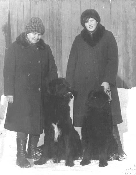 Фото: ньюфаундленд Жан Чарвенс