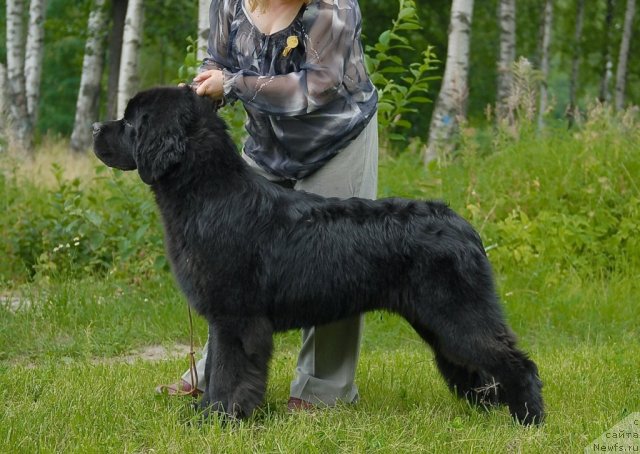 Фотография № 47235