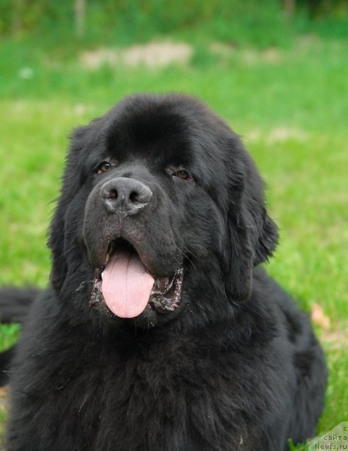 Фотография № 47240