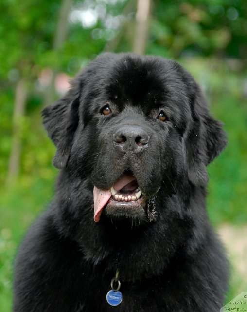 Фотография № 47257