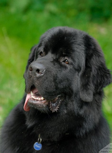 Фотография № 47259