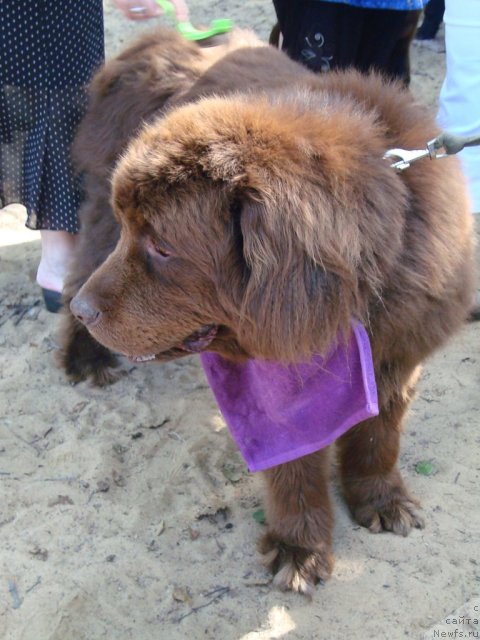 Фотография № 47314