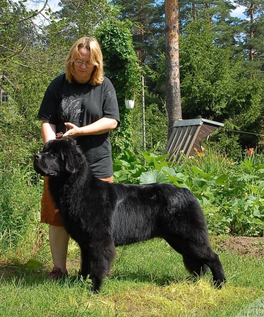 Фотография № 47362