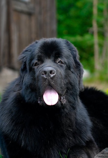 Фотография № 47367