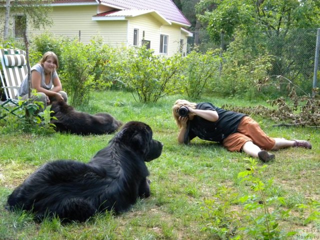 Фотография № 47385