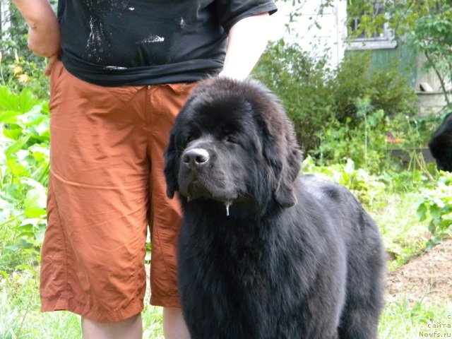 Фотография № 47386