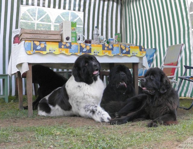 Фотография № 47388