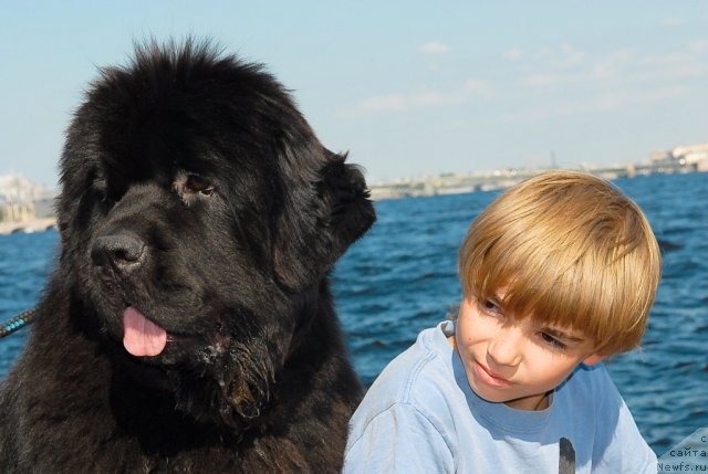 Фотография № 47400