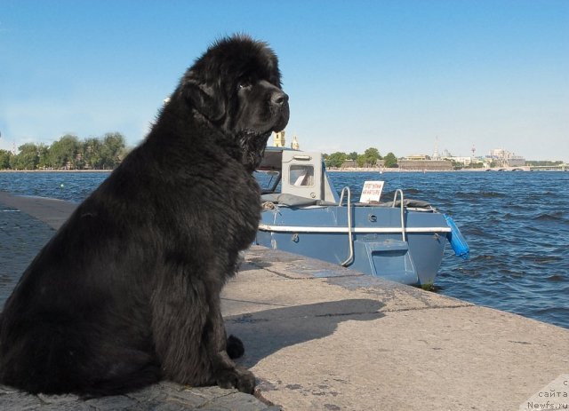 Фотография № 47403