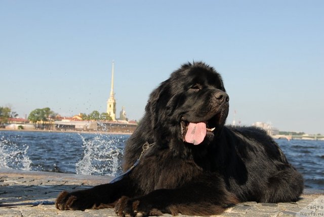 Фотография № 47406