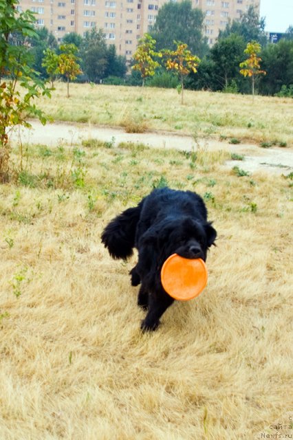 Фотография № 47490