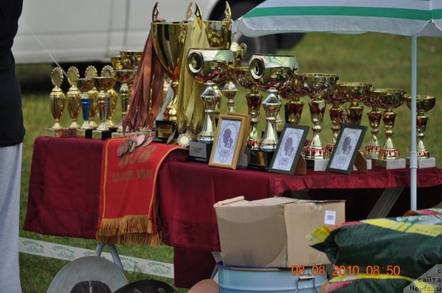 Фотография № 47547