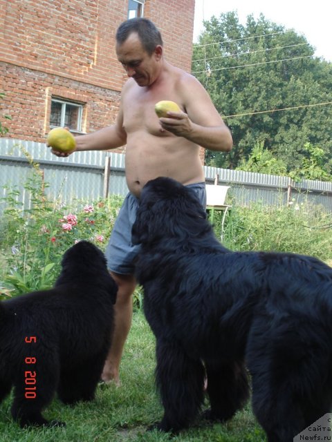 Фото: Валентина Артеменко