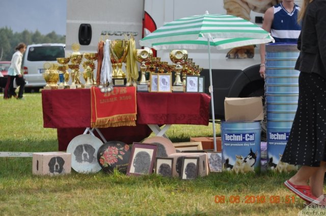 Фотография № 47551