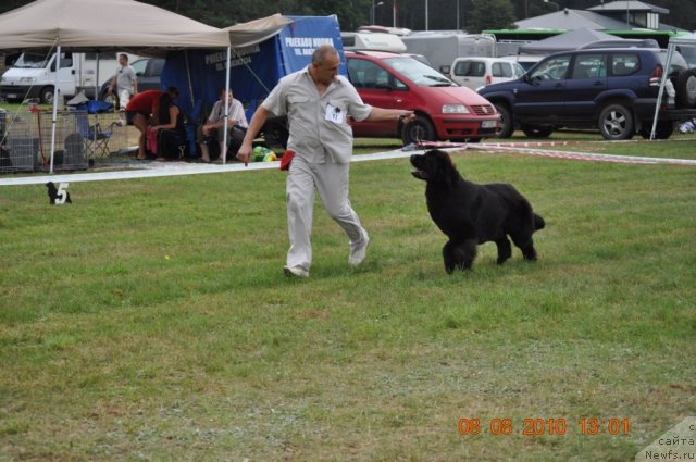 Фотография № 47556