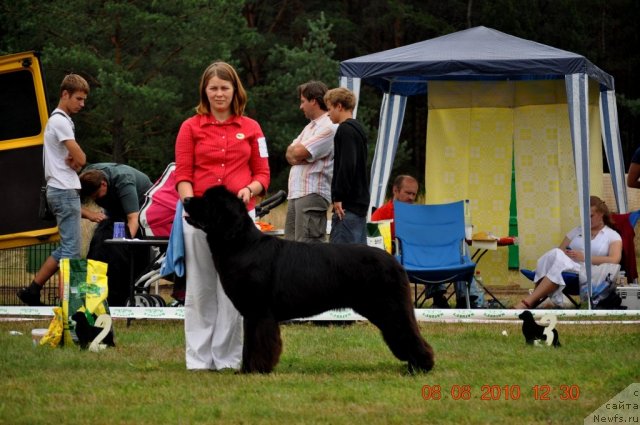 Фотография № 47558