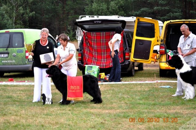 Фотография № 47566