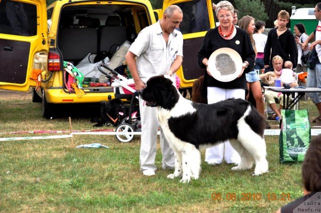 Фотография № 47571