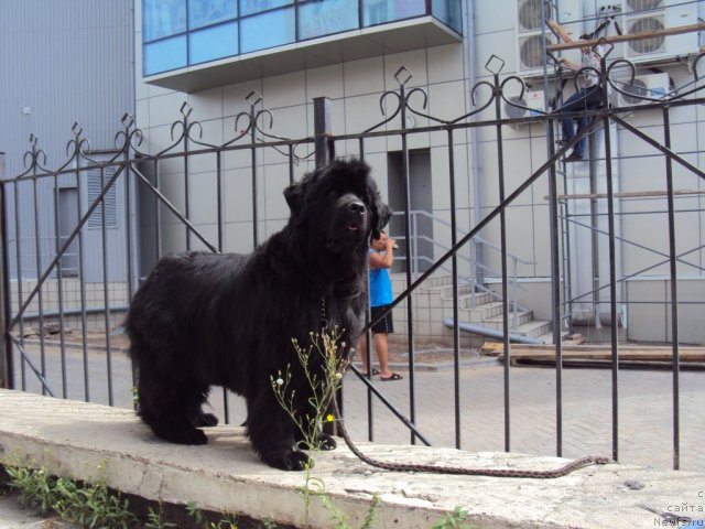 Фотография № 47575