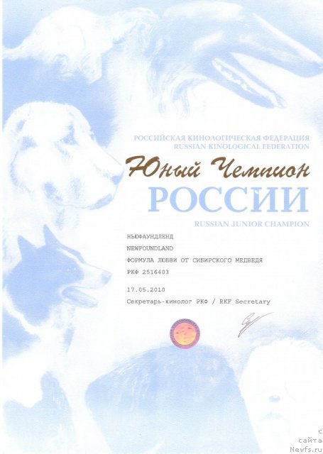 Фото: ньюфаундленд Формула Любви от Сибирского Медведя