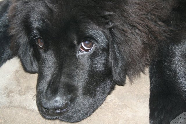 Фото: Наталия Рятсеп