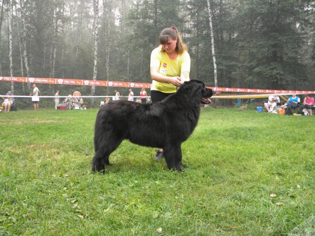 Фотография № 47605