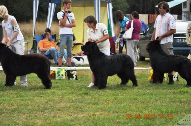 Фотография № 47611