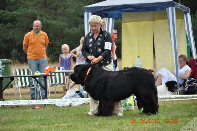 Фотография № 47613