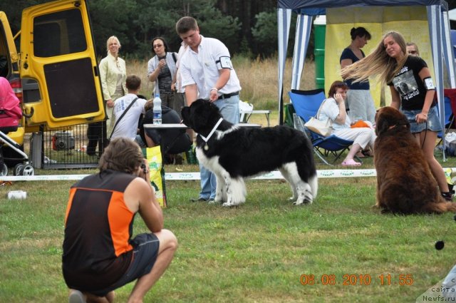 Фотография № 47615