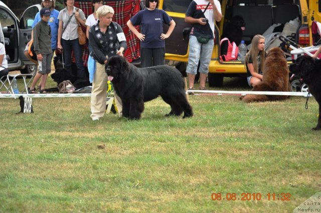 Фотография № 47616