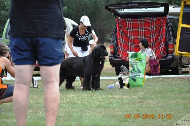 Фотография № 47617