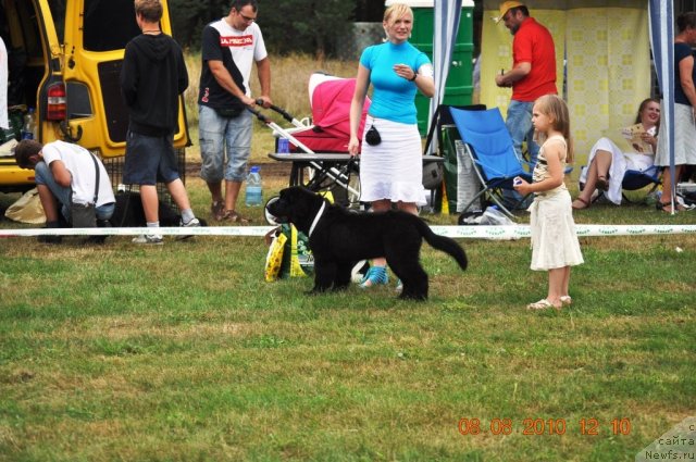 Фотография № 47619